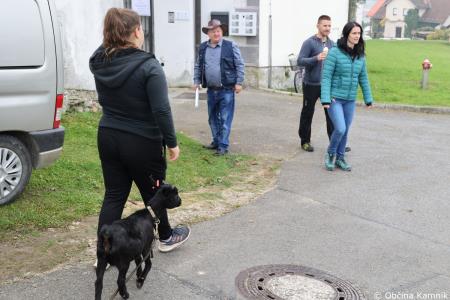 Društvo rejcev drobnice Kamnik je pripravilo Praznik drobnice (33)